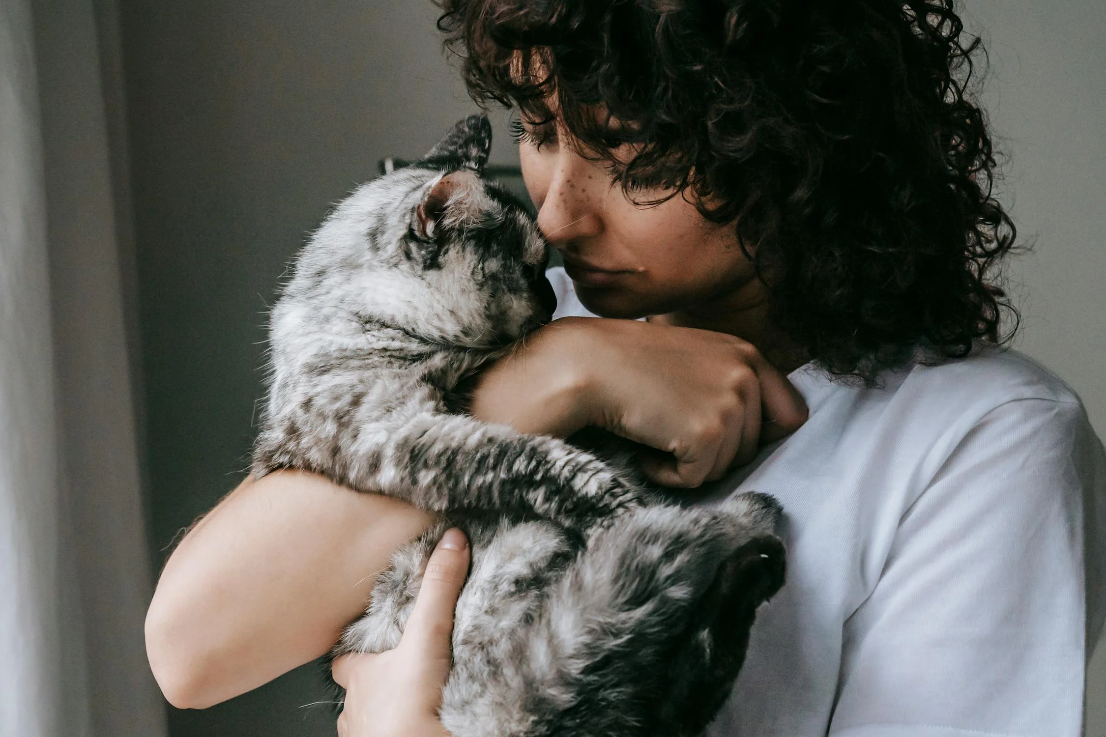 Person lovingly holding their cat, representing the bond and protection Petimony provides