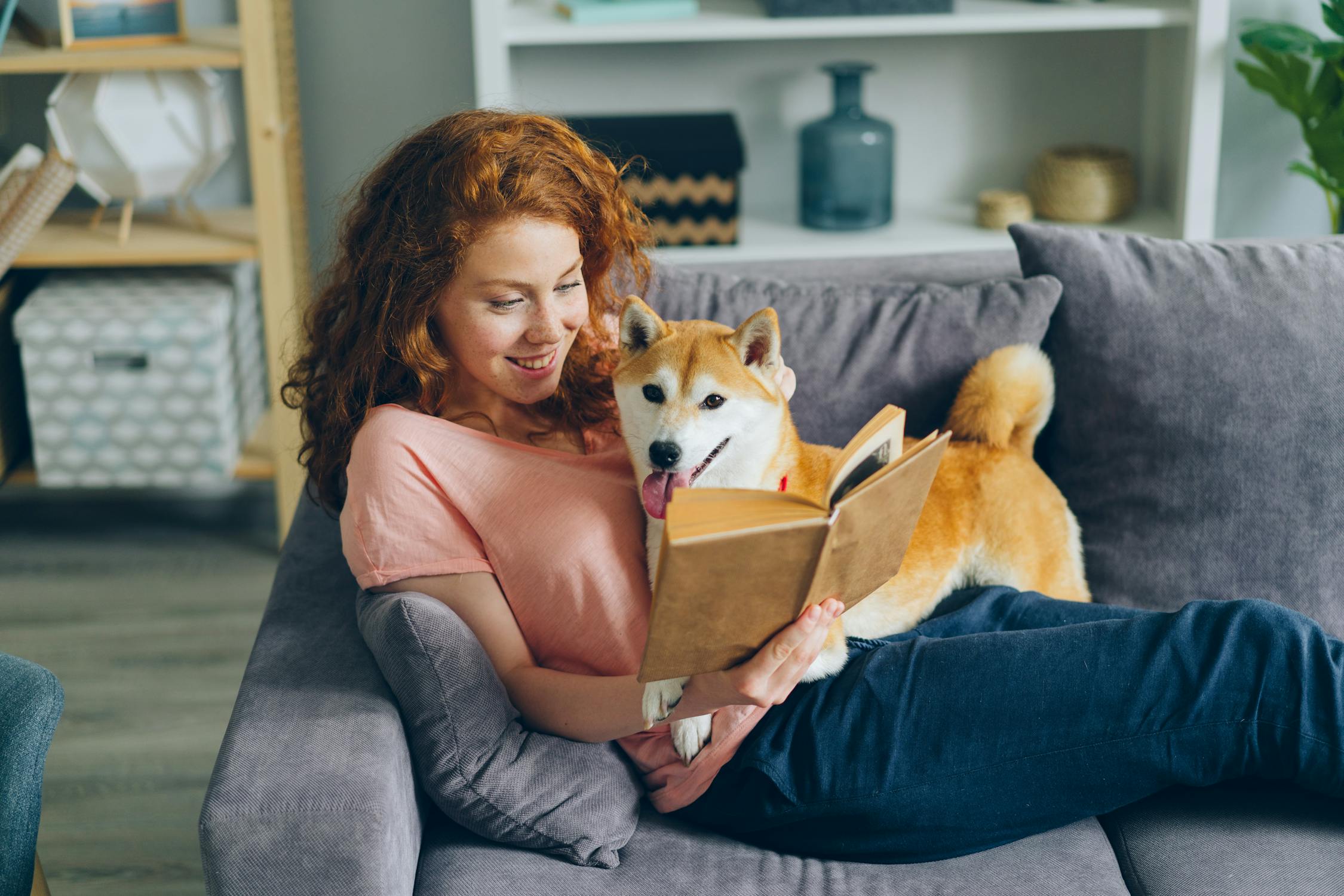 Woman reading with her Shiba Inu dog on couch - representing pet parents learning about pet planning